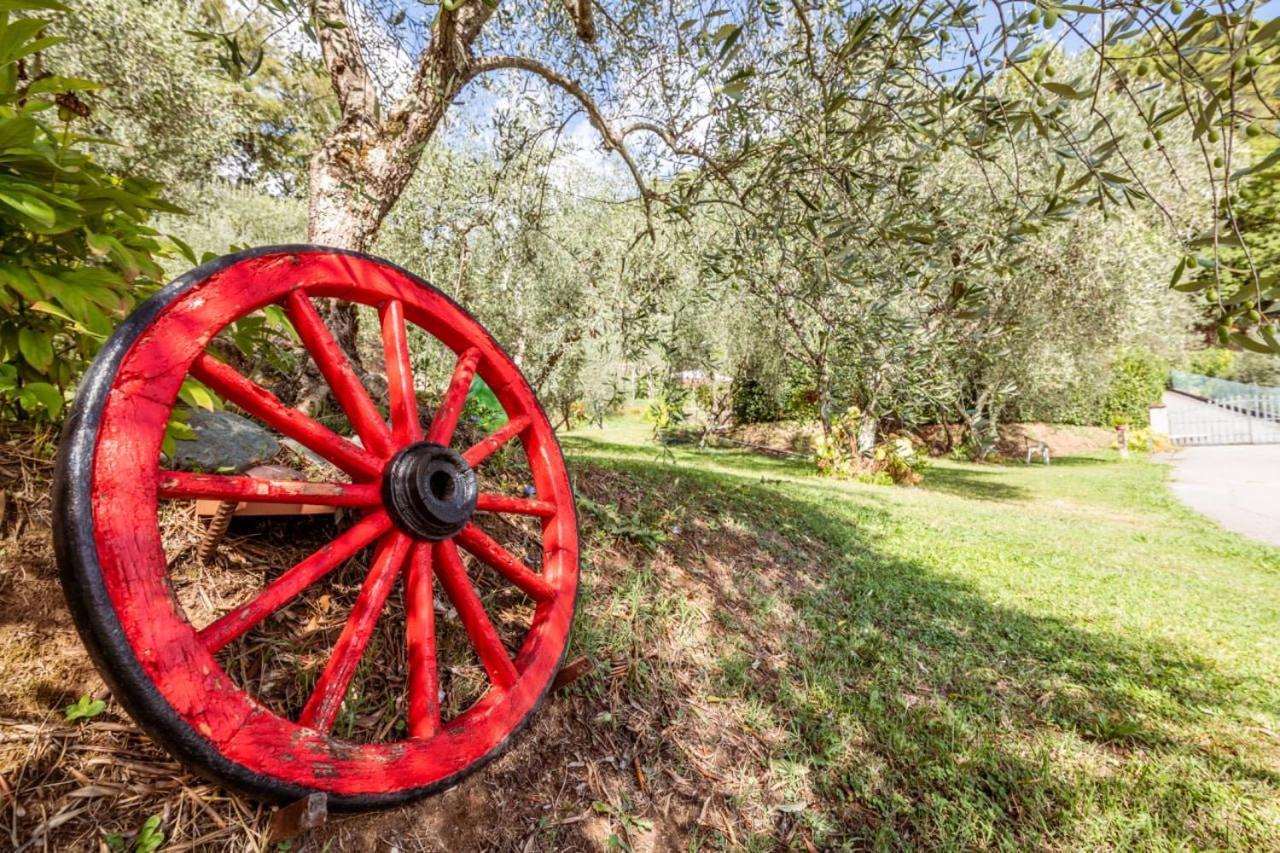 Al Giardino Degli Ulivi Guest House Santa Maria Albiano Екстериор снимка