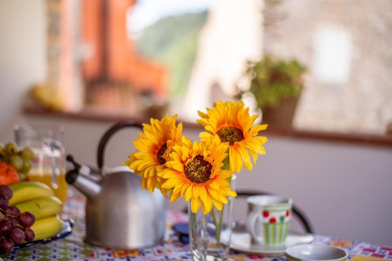 Al Giardino Degli Ulivi Guest House Santa Maria Albiano Екстериор снимка